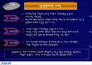 삼성전자 애니콜 경영전략(마케팅전략 마케팅 삼성 국제경영 3페이지