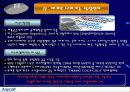 삼성전자 애니콜 경영전략(마케팅전략 마케팅 삼성 국제경영 14페이지
