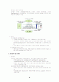 전자상거래 기업의 사례 - 11가지 기업사례 모음집 25페이지