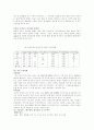 사업계획서  국외부분 4페이지