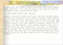 선진국의 전자정부 사례 20페이지