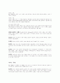 세계4대문명의 발상지 4페이지