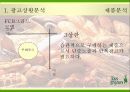 뚜레쥬르의 새로운 이미지 리포지셔닝 전략 19페이지