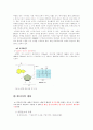 미토콘드리아와에너지생산 7페이지