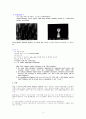 차세대 Display소자 FED [Field Emission Display] 4페이지