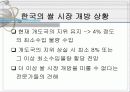 쌀시장 개방 3페이지