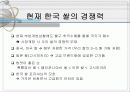 쌀시장 개방 4페이지