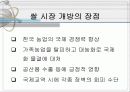 쌀시장 개방 5페이지