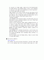 인적자원관리_기업에서 사용하는 HRM관련 정보시스템 22페이지