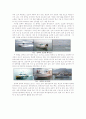 소형선박, 레저보트의 오늘과 미래 2페이지