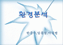 인터넷마케팅-환경분석 1페이지
