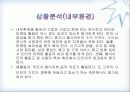 인터넷마케팅-환경분석 9페이지
