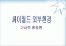 인터넷마케팅-환경분석 12페이지
