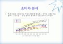 인터넷마케팅-환경분석 31페이지