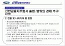 신한 금융의 다각화 전략 방안 17페이지