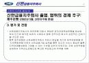 신한 금융의 다각화 전략 방안 21페이지