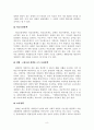 정부의 전시행정적 실태와 해결방안 8페이지