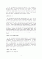 정부의 전시행정적 실태와 해결방안 13페이지