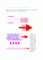 빛과 레이저 12페이지