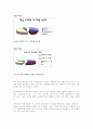 한글 도메인의 종류와 체계 및 발달과정 10페이지