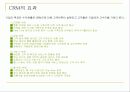 CRM(고객관계관리) 13페이지
