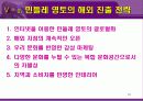 민들레 영토의 해외 진출 전략 19페이지