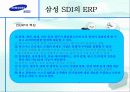 삼성 SDI의 ERP 10페이지