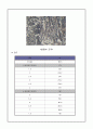 TIG 용접 13페이지