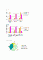 레드망고 성공전략 14페이지