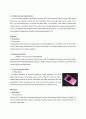 Costume Jewelry Company - 클루(CLUE) 마케팅 전략 (영문) 13페이지