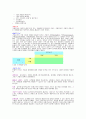 사업계획의 기초 4페이지