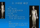 경락마사지에 대한 모든것 6페이지