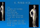 경락마사지에 대한 모든것 9페이지