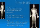 경락마사지에 대한 모든것 10페이지