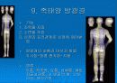 경락마사지에 대한 모든것 12페이지