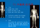 경락마사지에 대한 모든것 14페이지