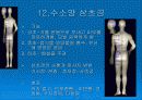 경락마사지에 대한 모든것 15페이지