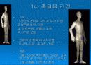 경락마사지에 대한 모든것 17페이지