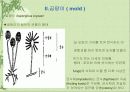 ◎ 식품 미생물 (microorganism) 30페이지