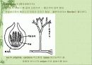 ◎ 식품 미생물 (microorganism) 55페이지