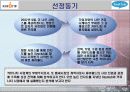 싸이월드의 마케팅 전략 성공사례와 세이클럽의 실폐사례 비교분석(SWOT, STP분석)(A+레포트)★★★★★ 4페이지