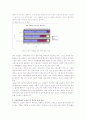 현행 교원평가제의 문제점과 공정성 및 객관성 향상 방안 -교원 평가제 도입 방안(A+레포트)★★★★★ 6페이지