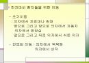 척수손상 파워포인트 31페이지