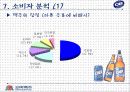 [마케팅] OB 맥주의 마케팅과 SWOT 분석 11페이지