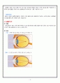 시력보호 보건교육 지도안 16페이지