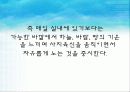 부산대 부설 어린이집 생태유아교육 27페이지