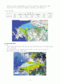 시화호 환경조사 15페이지