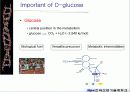 해당과정 glycolysis metabolism 3페이지