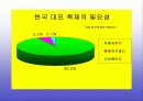 김치의 국제화 및 축제기획안 24페이지