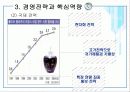 태평양경영전략 17페이지